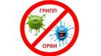 Что такое грипп и какова его опасность?